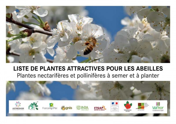 Liste des plantes mélifères