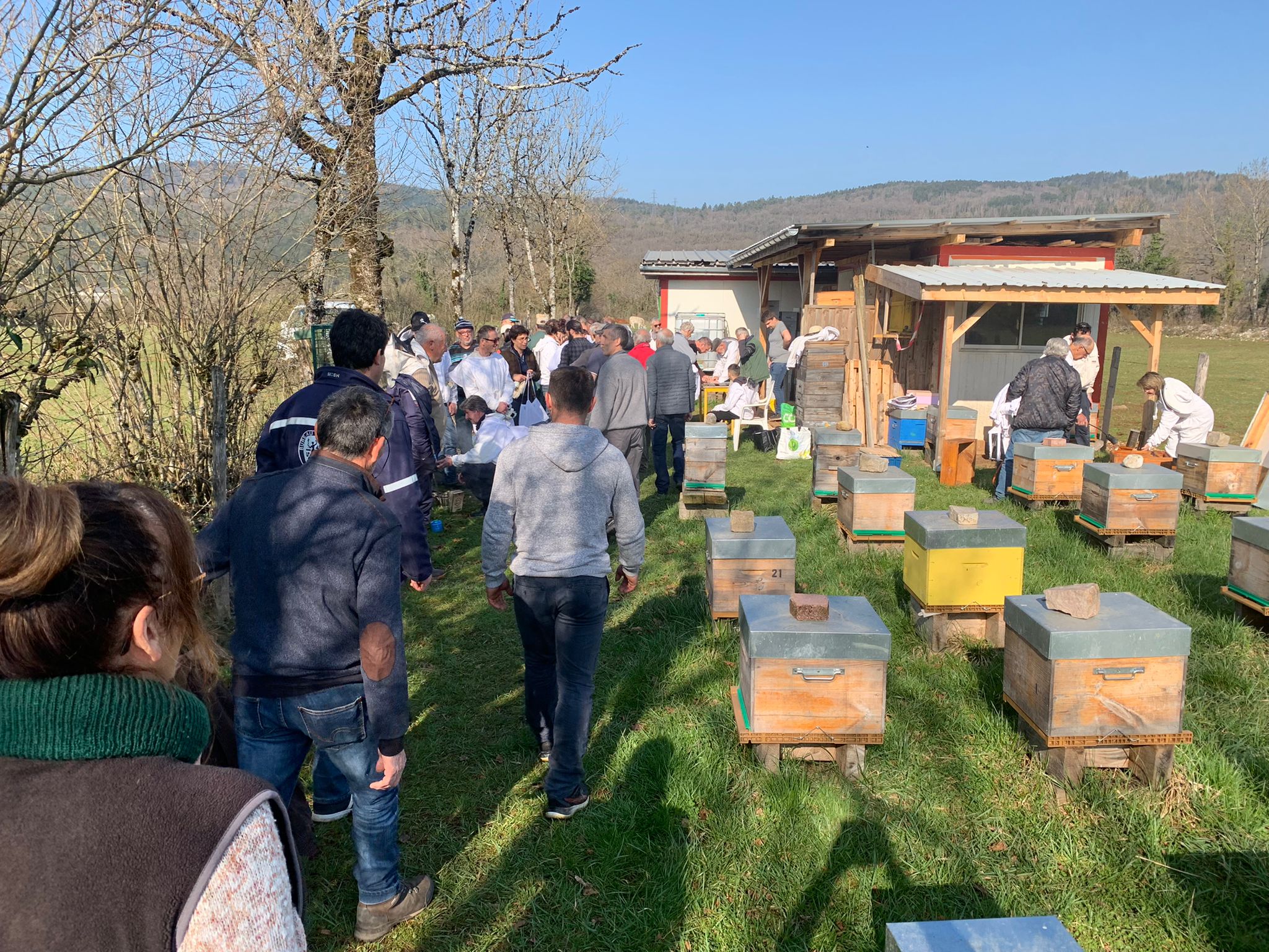 Première séance sur le terrain au rucher école en photos.