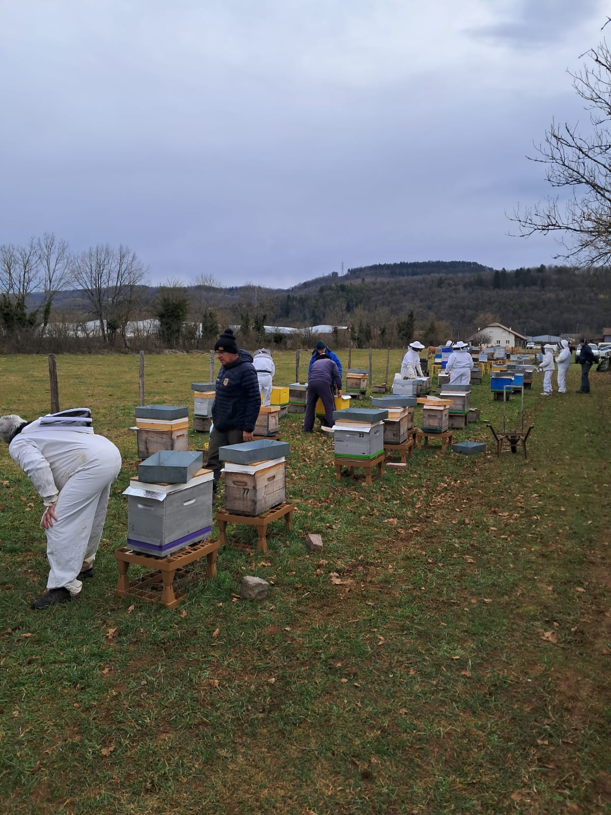 La visite des ruches